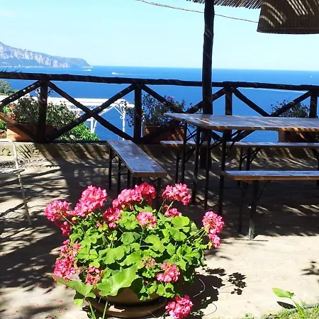 Tessa's Holiday 5 Pax Villa