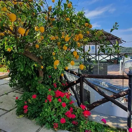 Tessa's Holiday 5 Pax Villa